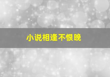 小说相逢不恨晚