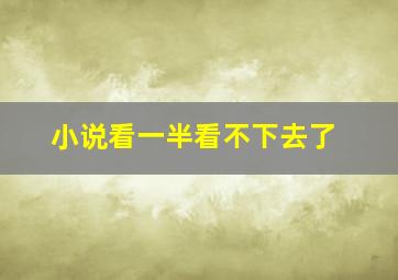 小说看一半看不下去了