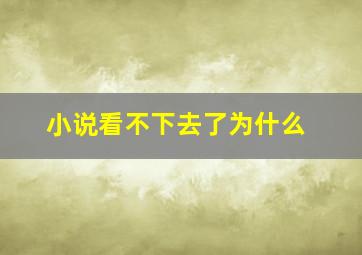 小说看不下去了为什么