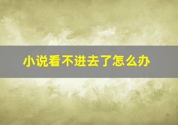 小说看不进去了怎么办