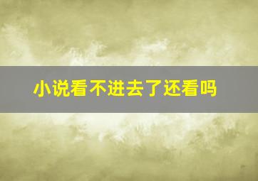 小说看不进去了还看吗