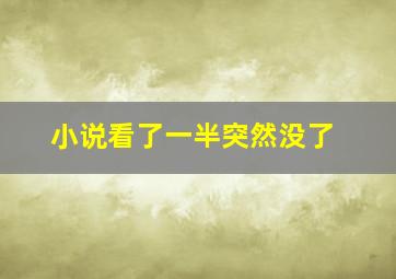 小说看了一半突然没了