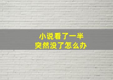 小说看了一半突然没了怎么办