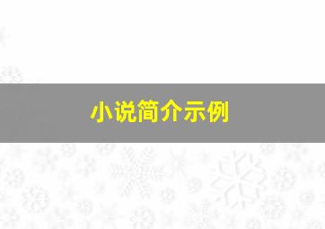 小说简介示例