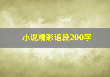 小说精彩语段200字