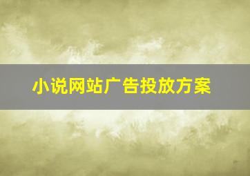 小说网站广告投放方案