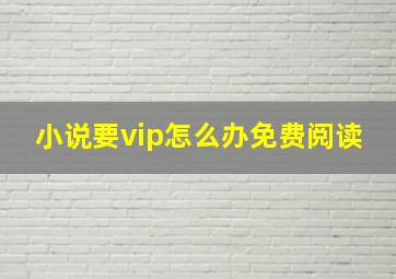 小说要vip怎么办免费阅读