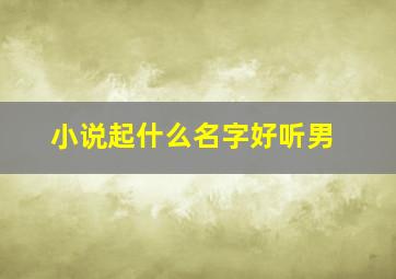 小说起什么名字好听男