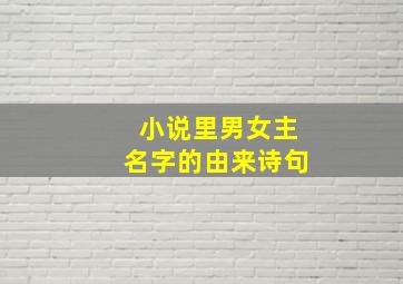 小说里男女主名字的由来诗句