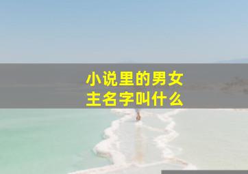 小说里的男女主名字叫什么