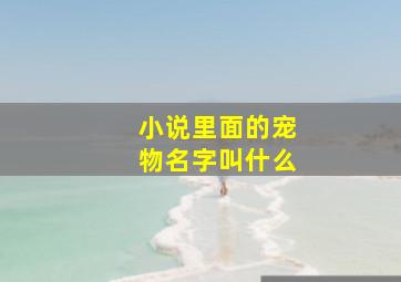 小说里面的宠物名字叫什么