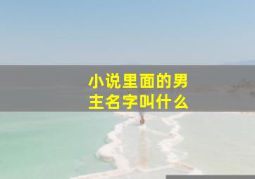 小说里面的男主名字叫什么