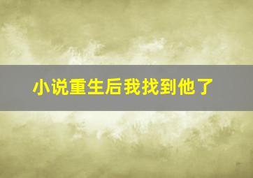 小说重生后我找到他了