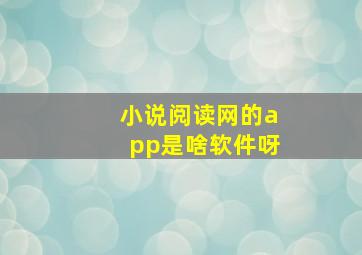 小说阅读网的app是啥软件呀