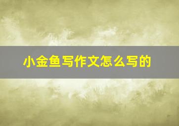 小金鱼写作文怎么写的