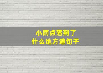 小雨点落到了什么地方造句子