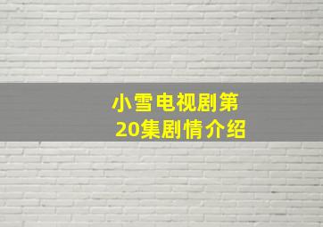 小雪电视剧第20集剧情介绍