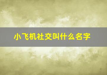 小飞机社交叫什么名字