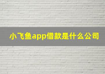 小飞鱼app借款是什么公司