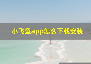 小飞鱼app怎么下载安装