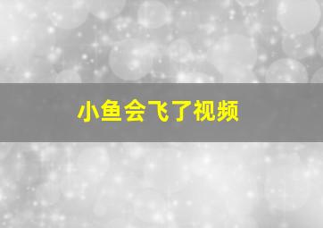 小鱼会飞了视频