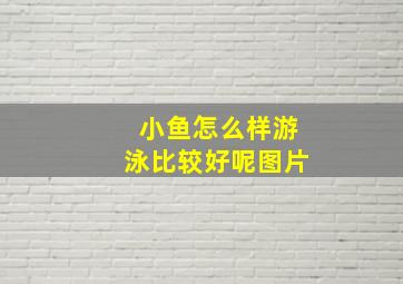 小鱼怎么样游泳比较好呢图片