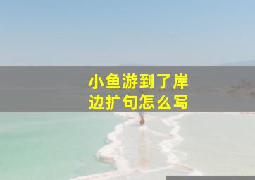 小鱼游到了岸边扩句怎么写