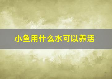 小鱼用什么水可以养活