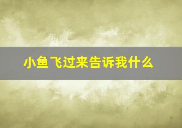 小鱼飞过来告诉我什么