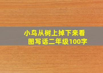 小鸟从树上掉下来看图写话二年级100字