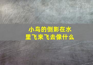 小鸟的倒影在水里飞来飞去像什么