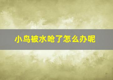 小鸟被水呛了怎么办呢