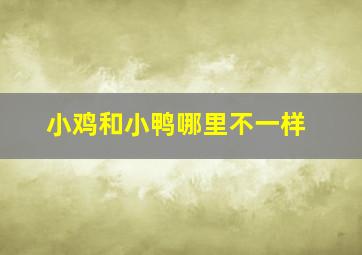 小鸡和小鸭哪里不一样