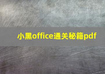 小黑office通关秘籍pdf