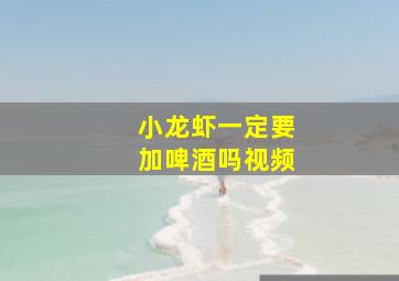 小龙虾一定要加啤酒吗视频