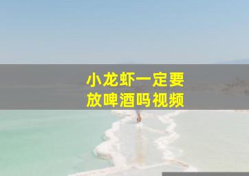 小龙虾一定要放啤酒吗视频