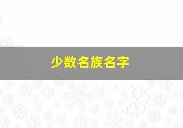 少数名族名字