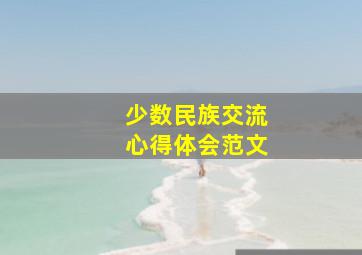 少数民族交流心得体会范文