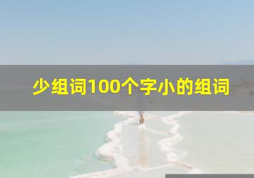 少组词100个字小的组词