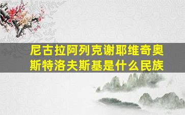 尼古拉阿列克谢耶维奇奥斯特洛夫斯基是什么民族