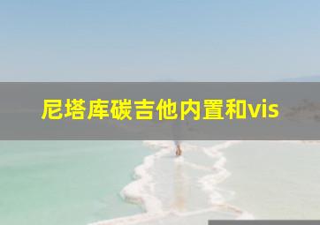 尼塔库碳吉他内置和vis