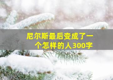 尼尔斯最后变成了一个怎样的人300字