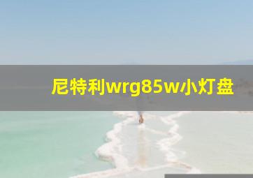 尼特利wrg85w小灯盘