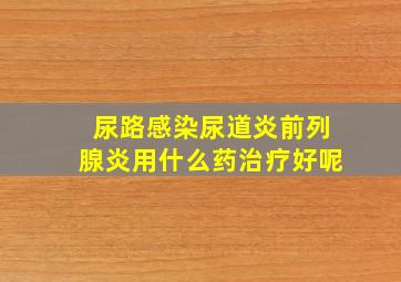 尿路感染尿道炎前列腺炎用什么药治疗好呢