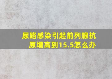 尿路感染引起前列腺抗原增高到15.5怎么办