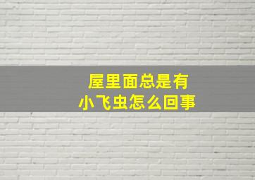 屋里面总是有小飞虫怎么回事