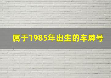 属于1985年出生的车牌号