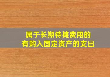 属于长期待摊费用的有购入固定资产的支出