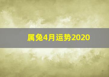 属兔4月运势2020