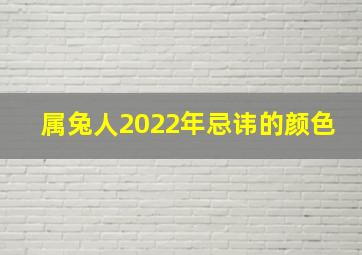 属兔人2022年忌讳的颜色